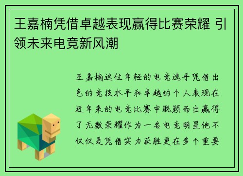 王嘉楠凭借卓越表现赢得比赛荣耀 引领未来电竞新风潮
