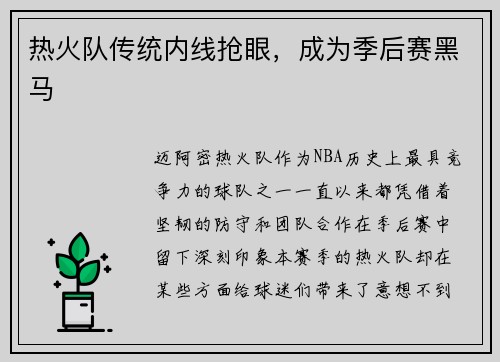 热火队传统内线抢眼，成为季后赛黑马